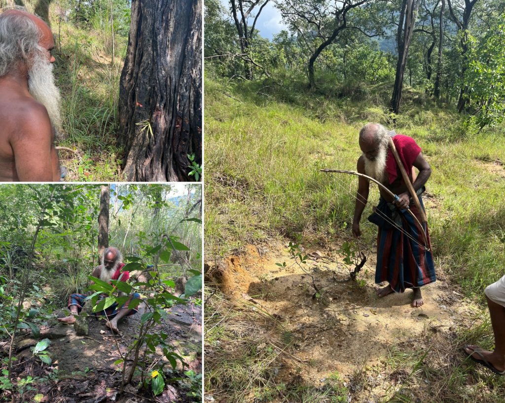 An elderly man with long white hair and a beard, dressed in traditional attire, examines the ground in a forested area. Surrounding him are lush greenery and trees, while he crouches near a small patch of disturbed earth, possibly investigating or planting something.