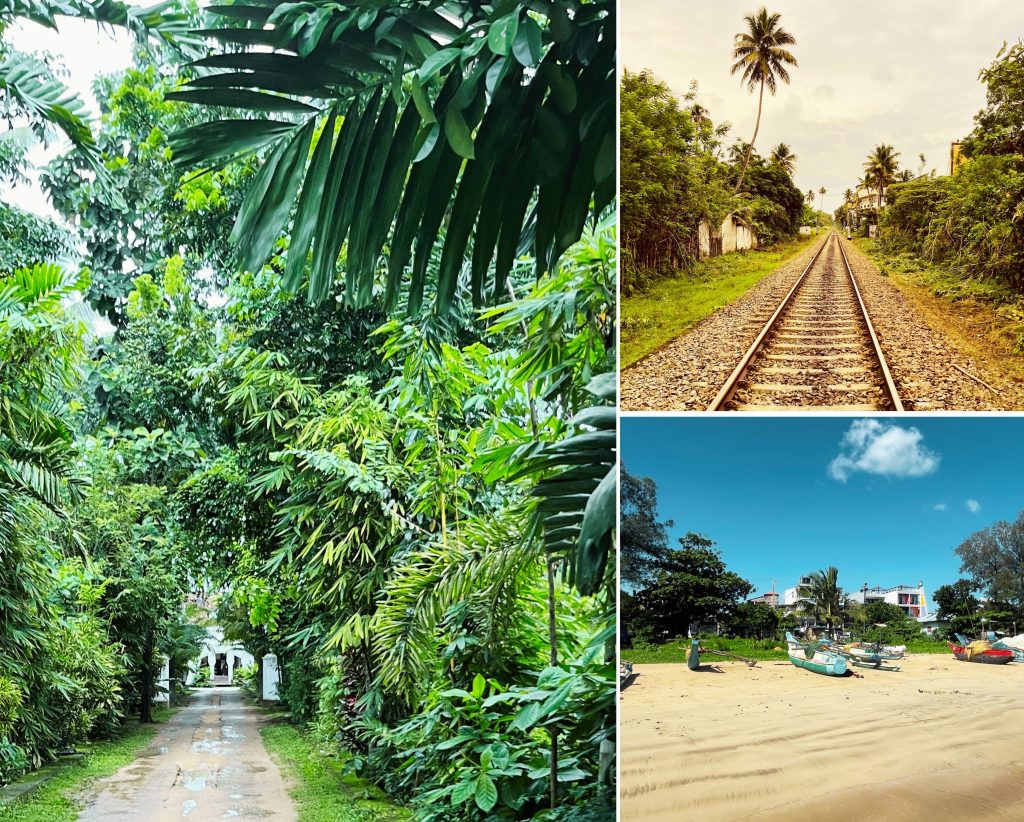A collage featuring three images: a lush green path bordered by tropical foliage, a railway track disappearing into the distance under a cloudy sky, and a sunny beach scene with colorful fishing boats on the shore surrounded by greenery.