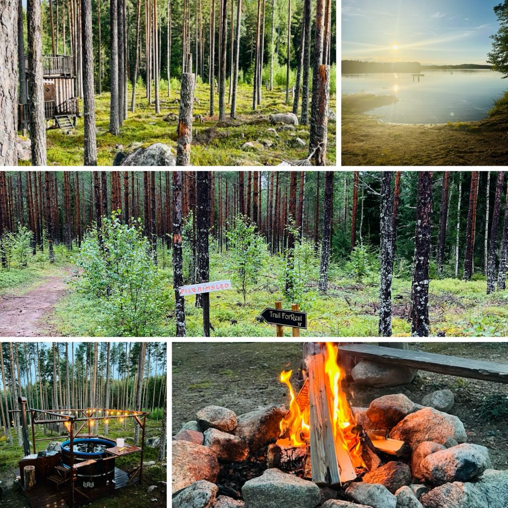 A scenic collage of a tranquil forest featuring tall trees, a serene lakeside view at sunset, a hiker's path marked with signs, and a cozy campfire surrounded by stones and rustic seating.