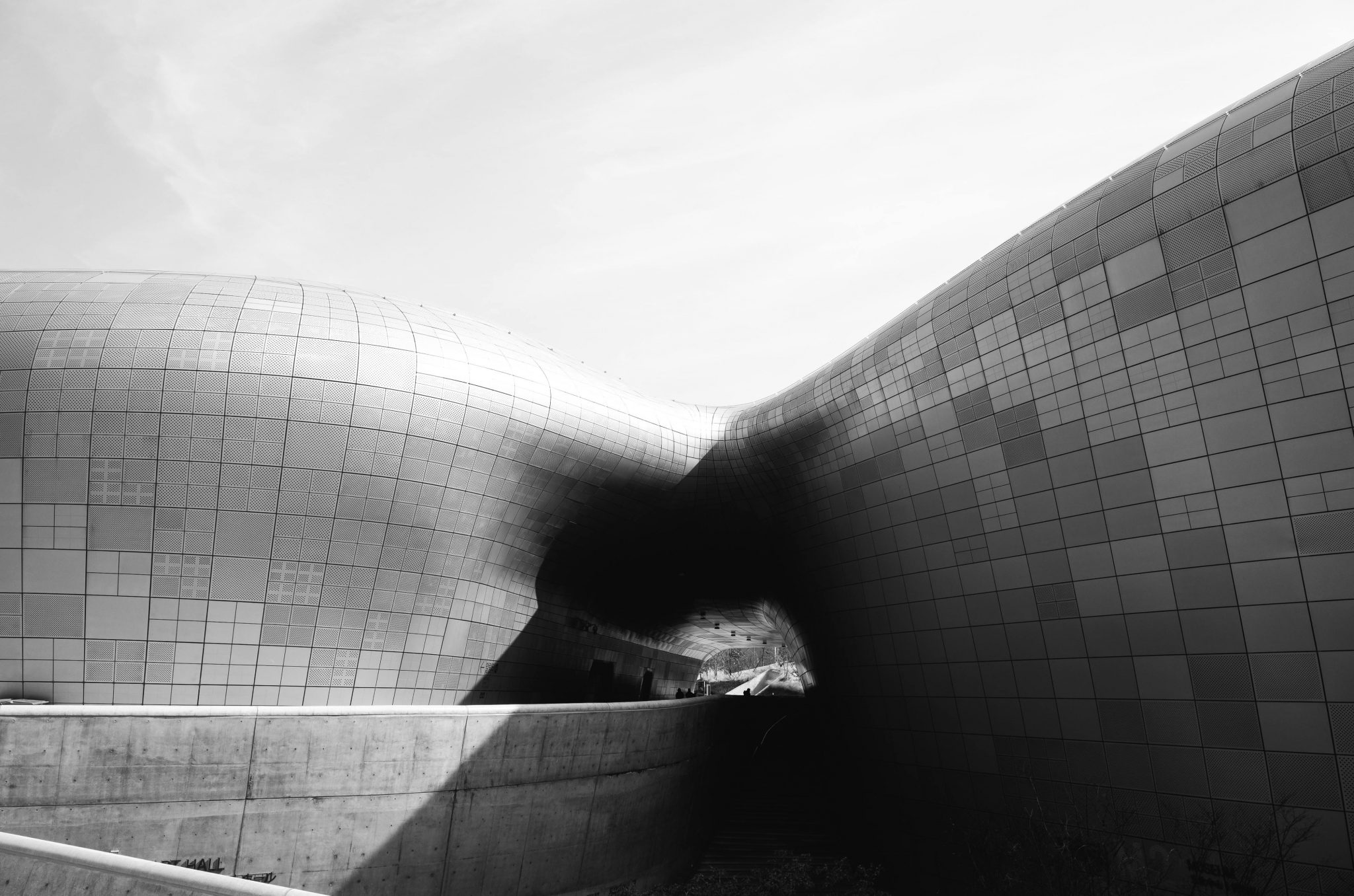 The image presents a striking black-and-white photograph of the Dongdaemun Design Plaza (DDP) in Seoul, South Korea, showcasing its distinctive curved architecture. * **Dongdaemun Design Plaza (DDP)**: * The DDP is prominently featured in the center of the image. * Its unique design boasts a series of interconnected domes that create a futuristic and modern appearance. * The plaza's exterior features large windows, allowing natural light to illuminate its interior spaces. * **Skyline**: * In the background, the skyline of Seoul is visible, with several buildings and skyscrapers rising above the horizon. * The sky above appears overcast or cloudy, adding depth and context to the scene. * **Overall Composition**: * The photograph effectively captures the essence of modern architecture and urban design. * The interplay between the DDP's curved lines and the straight lines of the surrounding buildings creates a visually appealing contrast. In summary, this image provides an interesting perspective on the Dongdaemun Design Plaza in Seoul, highlighting its innovative design and place within the cityscape.
