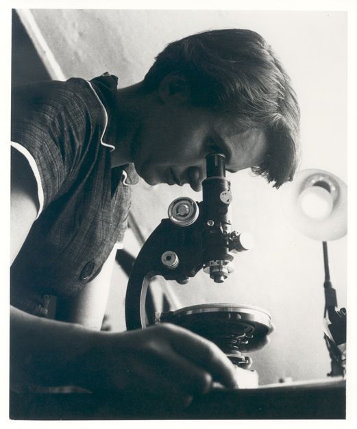 The image is a black-and-white photograph of a man intently examining something through a microscope. **Man** * The man has short, dark hair and wears a collared shirt with a vest or jacket over it. * He leans forward, his head bent towards the microscope, as if concentrating on what he sees. **Microscope** * The microscope is positioned in front of him, its eyepiece at the same level as his face. * It appears to be an older model, possibly from the mid-20th century. **Background** * The background is out of focus but suggests a laboratory setting. * A light source is visible behind the man's head, casting a warm glow over the scene. Overall, the image captures a moment of scientific inquiry and discovery.