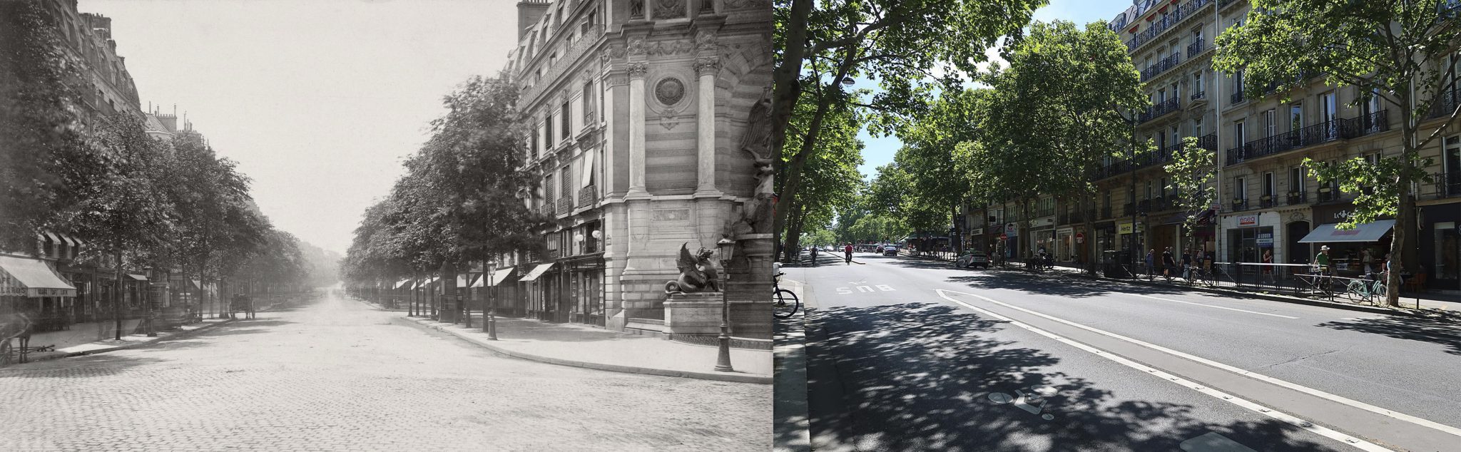 The image presents a comparative view of the same street in two different time periods, showcasing its transformation over time. **Left Side: 19th Century** • The left side of the image features a black-and-white photograph of the street. • The buildings are taller and more ornate compared to their modern counterparts. • The street is unpaved and features cobblestones or brickwork. • Trees line both sides of the street, with some having large branches that overhang the sidewalk. **Right Side: 21st Century** • In contrast, the right side of the image displays a color photograph of the same street in modern times. • The buildings are shorter and less ornate than their historic counterparts. • The street is now paved with asphalt or concrete. • Trees still line both sides of the street, but they appear to be smaller and more sparse. **Comparison** • The most striking difference between the two images is the significant reduction in building height and ornateness over time. • The transformation from cobblestone or brickwork to asphalt or concrete pavement is also evident. • While the trees have been preserved, their size and density appear to have decreased.