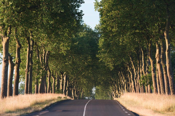 Route Nationale 7 - Straße der Sehnsucht - Traumstraße in...